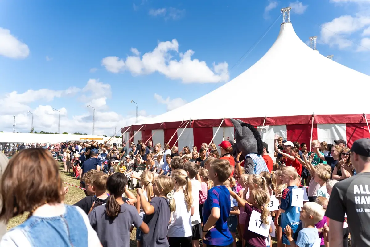 Sommerliv omkring teltene